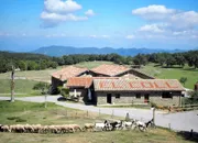 Casa rural Mas El Coll 6